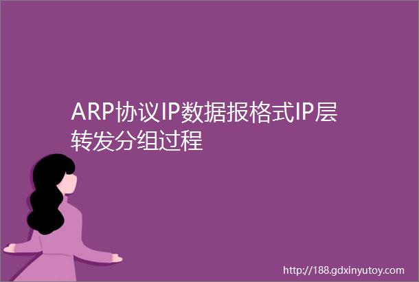 ARP协议IP数据报格式IP层转发分组过程